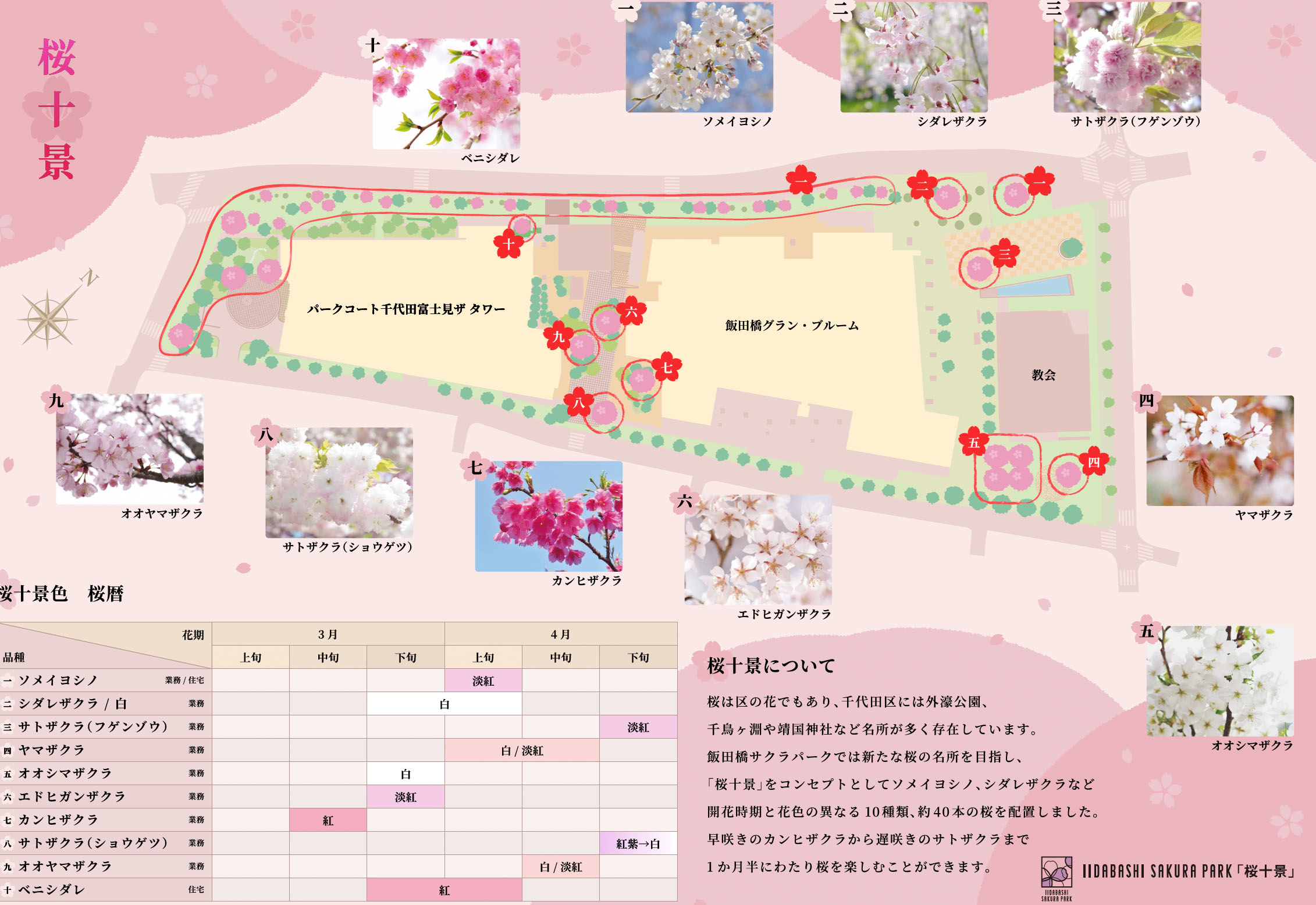 飯田橋の桜スポット